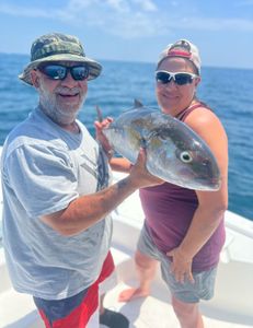 Majestic Greater Amberjack: Ocean's royalty