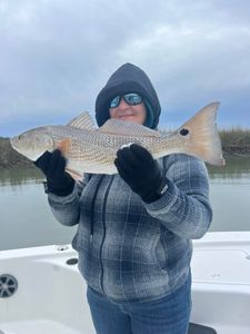 Amazing Redfish on display!