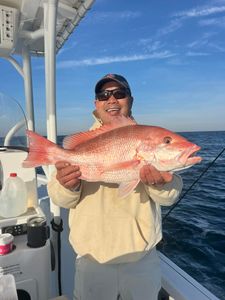 Amazing Red Snapper! Only in Charleston!