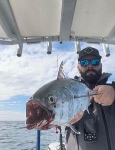 South Carolina Fishing