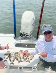 3 sheepshead fish caught fishing in SC