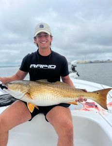 Trophy sized redfish