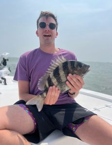 Sheepshead allure: Angler's delight.