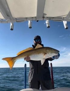 Fishing in Charleston, SC