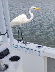 An angler fishing in South Carolina