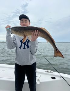 A single angler fishing in SC