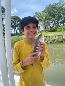 Catch of the day - a 8-inch black drum fish in Mount Pleasant