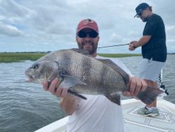 Black drum fish caught while fishing in Mount Pleasant