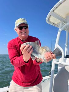 Photograph of a black drum fish caught while fishing in Mount Pleasant