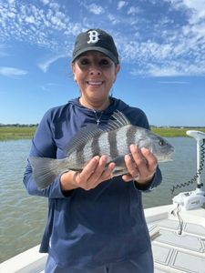 A lone black drum fish caught in Mount Pleasant