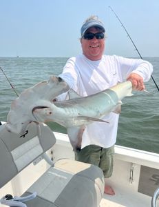 Bonnethead shark caught while fishing in Mount Pleasant
