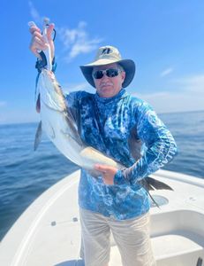 Charleston Fishing Charters