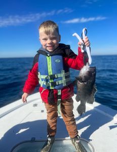 A sea bass caught while fishing in SC