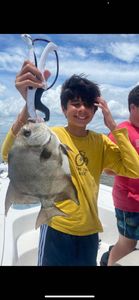 Spadefish from South Carolina