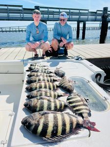 4 Sheepshead fish caught during fishing trip in Mount Pleasant