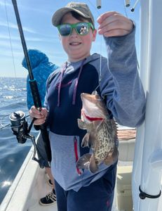 Gag Grouper fish caught while fishing in Mount Pleasant