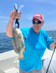 Gag Grouper caught while fishing in Mount Pleasant
