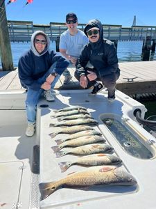 5 redfish caught during fishing in South Carolina