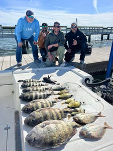 3 Sheepshead, Scup, and Sooty grunter fish caught by 4 people in SC