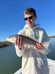 Redfish catch in Mount Pleasant