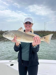 A single large redfish caught in Mount Pleasant