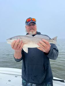 Redfish caught by angler in Mount Pleasant