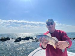 A single redfish caught while fishing in Mount Pleasant