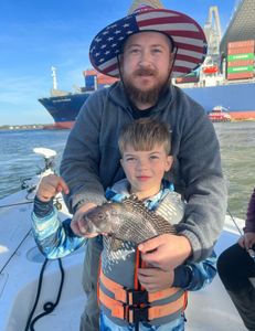Catch of the day: a magnificent sea bass