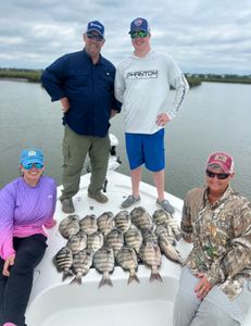 Two sheepshead fish caught while fishing in Mount Pleasant