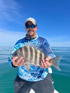 Sheepshead fish caught fishing in SC