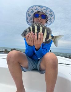 Sheepshead fish caught while fishing in Mount Pleasant