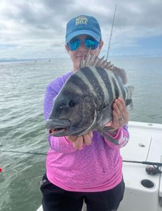 Sheepshead fish caught in Mount Pleasant