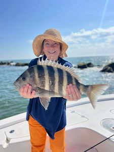 Sheepshead fish caught by angler in Mount Pleasant