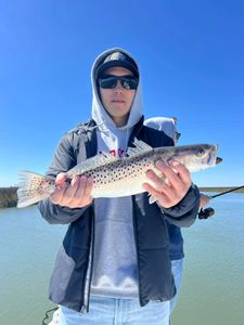 Spotted Weakfish caught during fishing in Mount Pleasant