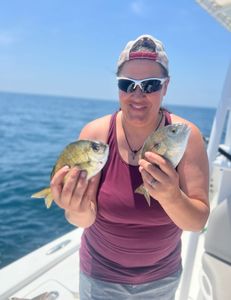 Two fish caught while fishing at Mount Pleasant
