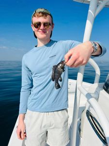 Photograph of a 7-inch sea bass caught while fishing in Mount Pleasant.