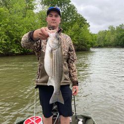 Fishing For Striped Bass in North Carolina