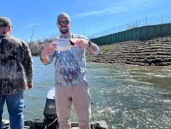 Bottom Fishing for Striper Fish