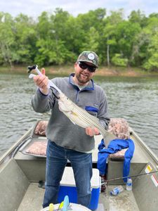 Bottom Fishing for Striper Fish