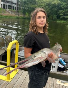 Somewhere near the inlet, something tugged