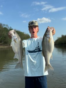 Another morning that started with a cast