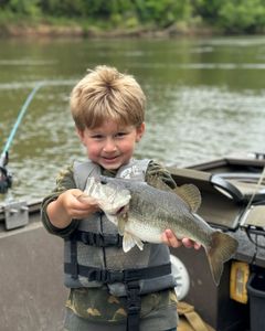 A largemouth bass caught in NC
