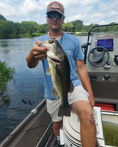 Largemouth Bass caught while fishing in Weldon