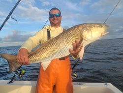 A lone redfish caught in Weldon