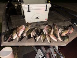 7 fish caught during a fishing and hunting trip in Weldon