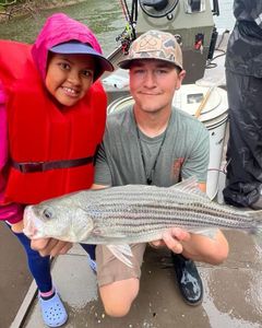 A striped bass fish caught during a fishing trip in NC