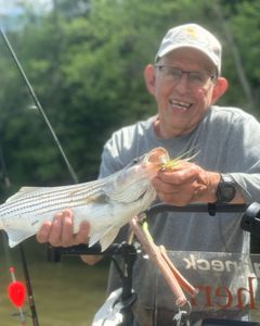 Striped bass fishing in NC