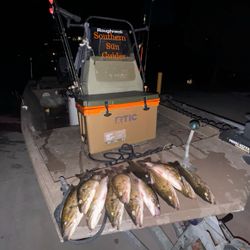 3 fish caught in Weldon while fishing and hunting