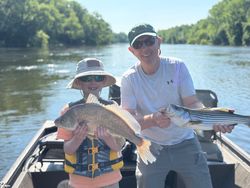 2 freshwater drum and striped bass fish in Weldon