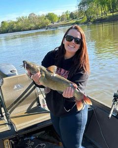 White Catfish caught while fishing in Weldon